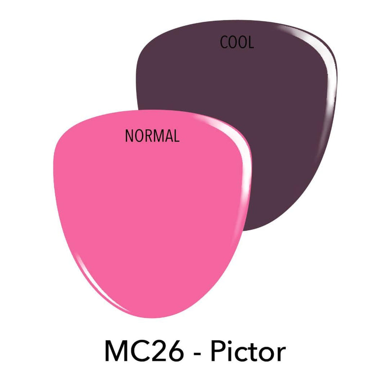 Revel Nail Dip Powder MC26 Pictor